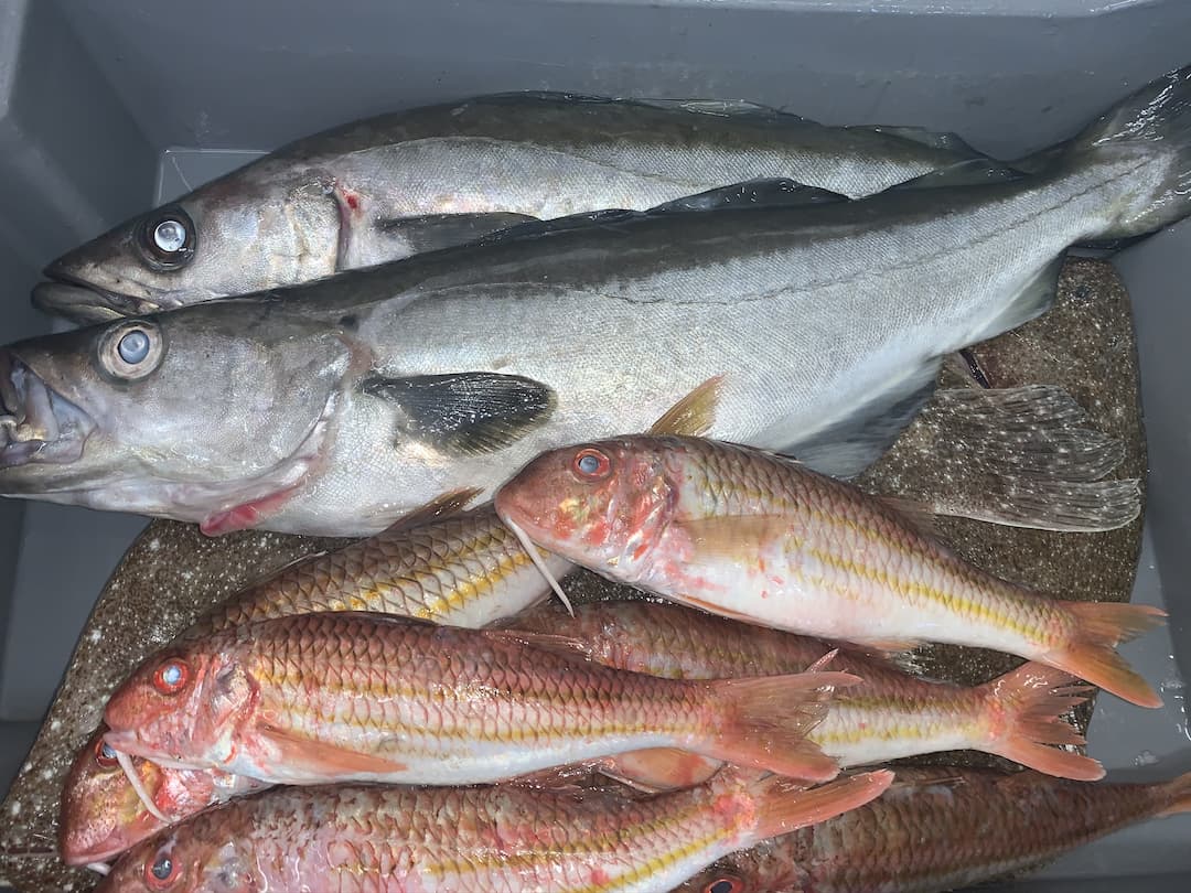 About RG Seafoods Ltd - Nationwide Fresh & Frozen Fish Supply